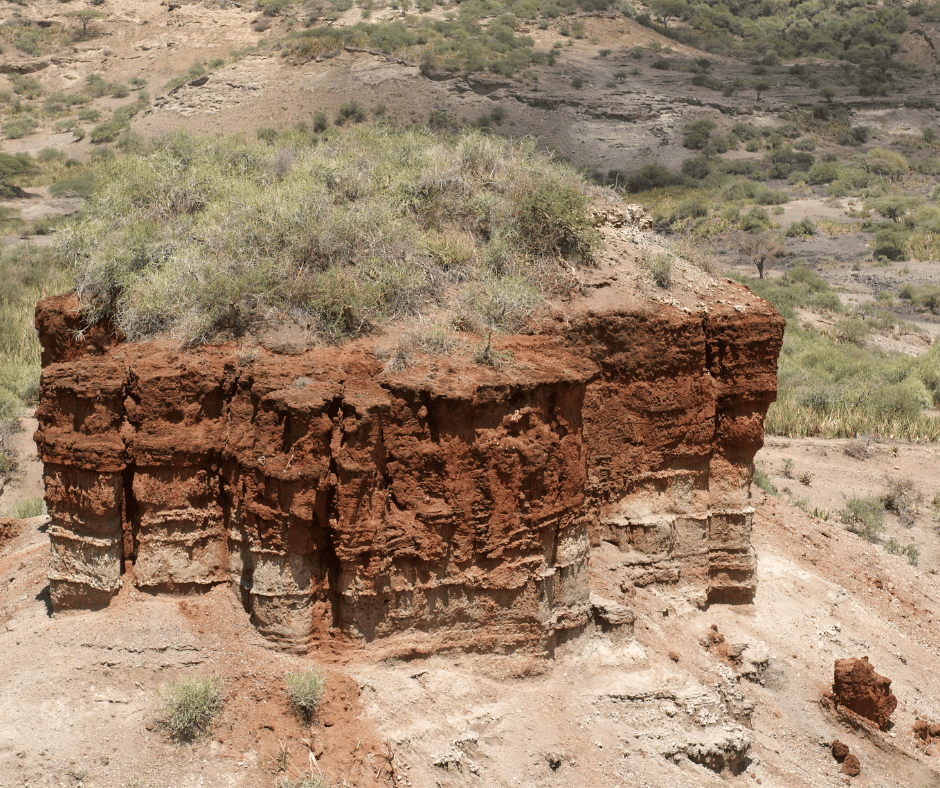 Image 95